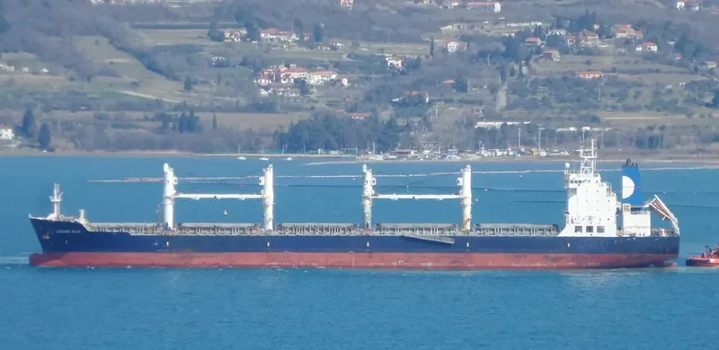 EQUINOX SEAS Bulk Carrier IMO 9229697 photo 5