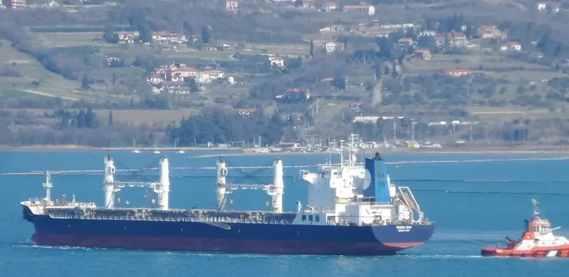 EQUINOX SEAS Bulk Carrier IMO 9229697 photo 6