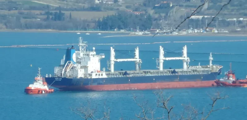 EQUINOX SEAS Bulk Carrier IMO 9229697 photo 7