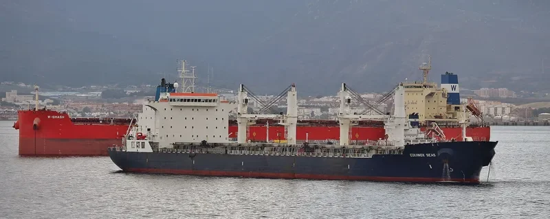 EQUINOX SEAS Bulk Carrier IMO 9229697 photo 8