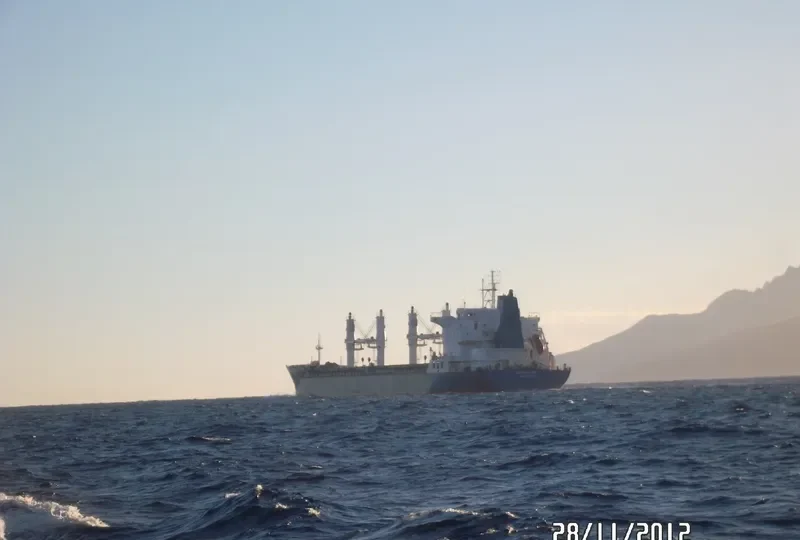 EQUINOX SEAS Bulk Carrier IMO 9229697 photo 9
