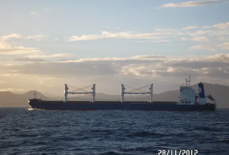 EQUINOX SEAS Bulk Carrier IMO 9229697 photo 10