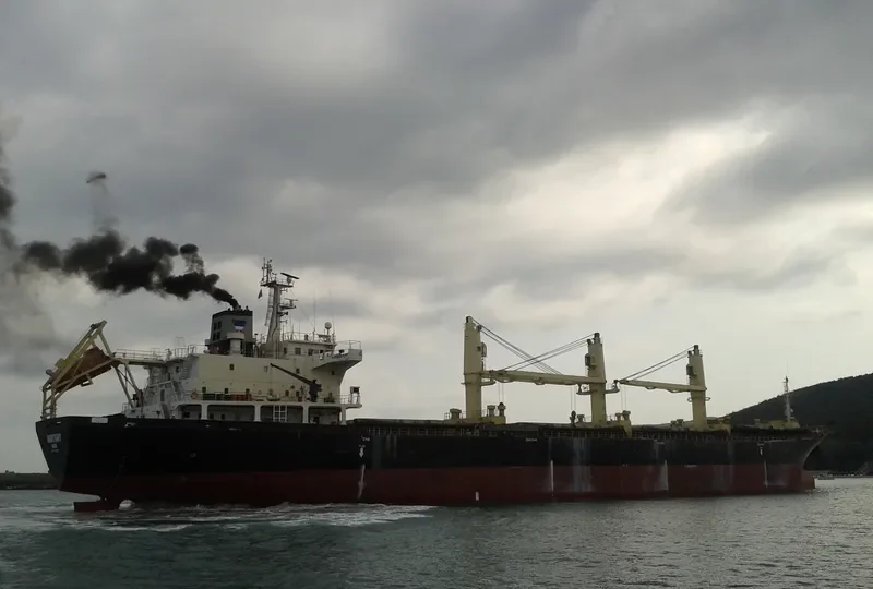 MARTIGNY Bulk Carrier IMO 9229867 photo 4