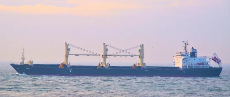REK NOBLE Bulk Carrier IMO 9229879