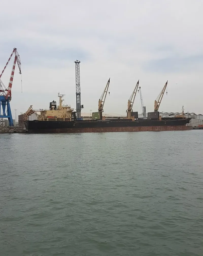 REK NOBLE Bulk Carrier IMO 9229879 photo 8