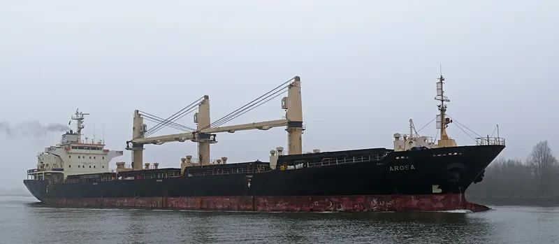 REK NOBLE Bulk Carrier IMO 9229879 photo 10