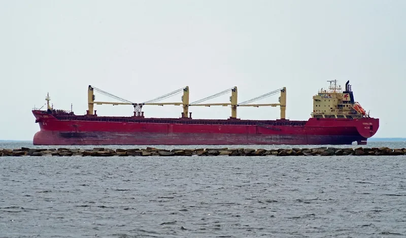 FEDERAL EMS Bulk Carrier IMO 9229984 photo 2