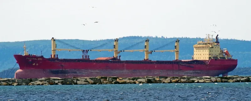 FEDERAL EMS Bulk Carrier IMO 9229984 photo 3