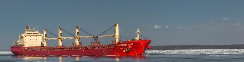 FEDERAL EMS Bulk Carrier IMO 9229984 photo 4