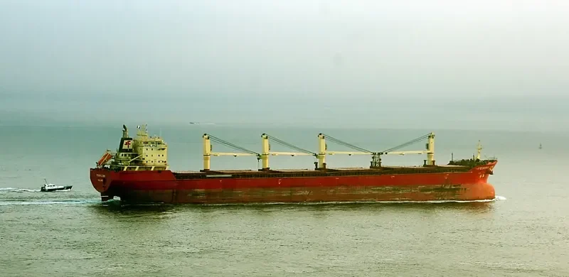 FEDERAL EMS Bulk Carrier IMO 9229984 photo 6