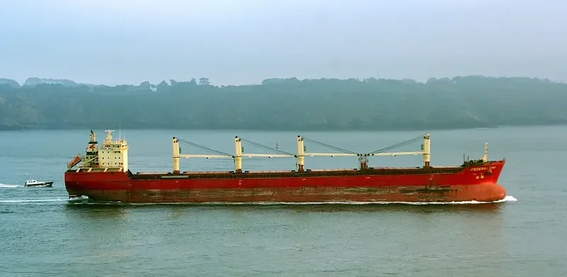 FEDERAL EMS Bulk Carrier IMO 9229984 photo 7