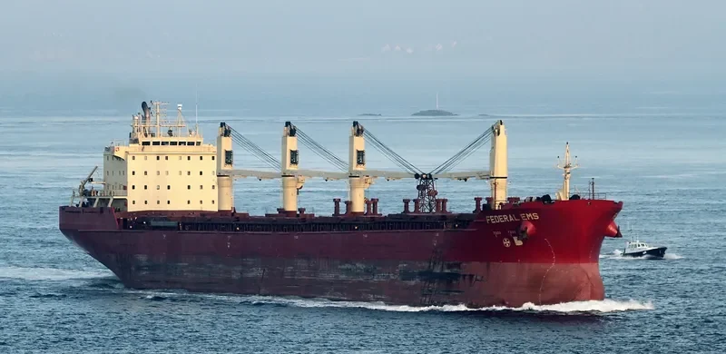 FEDERAL EMS Bulk Carrier IMO 9229984 photo 8