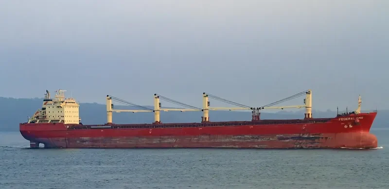 FEDERAL EMS Bulk Carrier IMO 9229984 photo 9