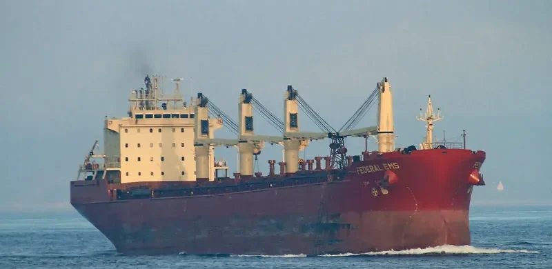 FEDERAL EMS Bulk Carrier IMO 9229984 photo 10
