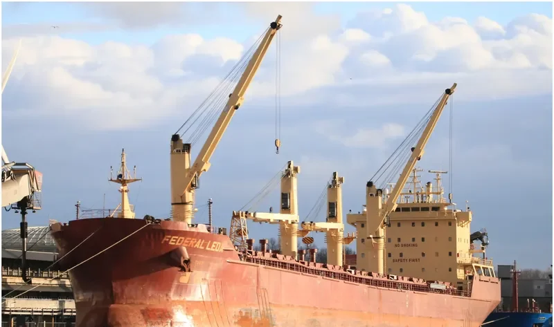 FEDERAL LEDA Bulk Carrier IMO 9229996