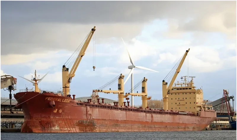 FEDERAL LEDA Bulk Carrier IMO 9229996 photo 2