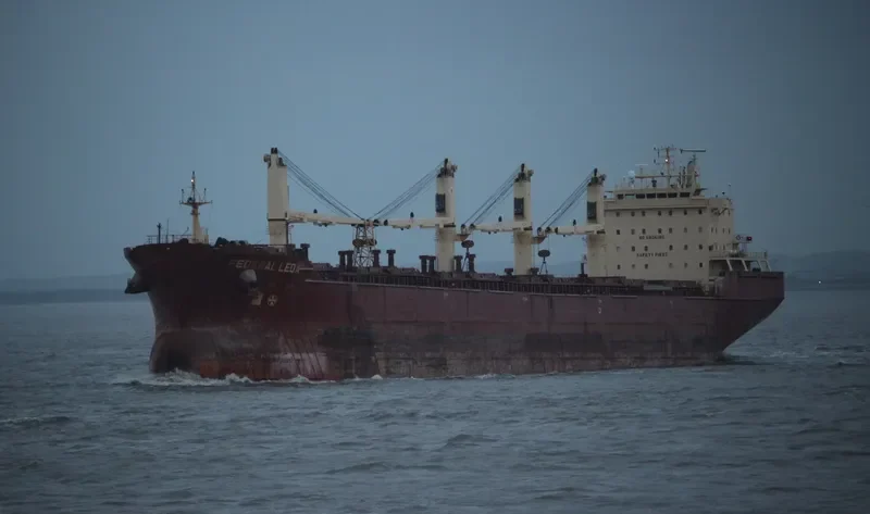 FEDERAL LEDA Bulk Carrier IMO 9229996 photo 3