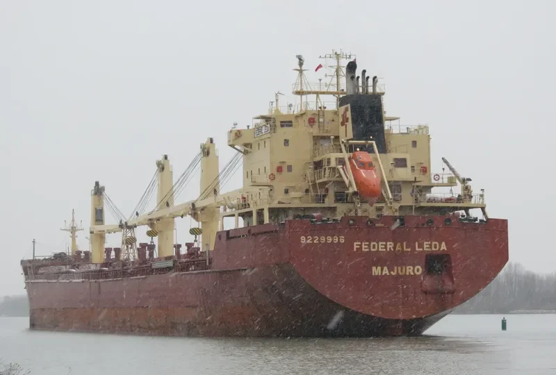 FEDERAL LEDA Bulk Carrier IMO 9229996 photo 5
