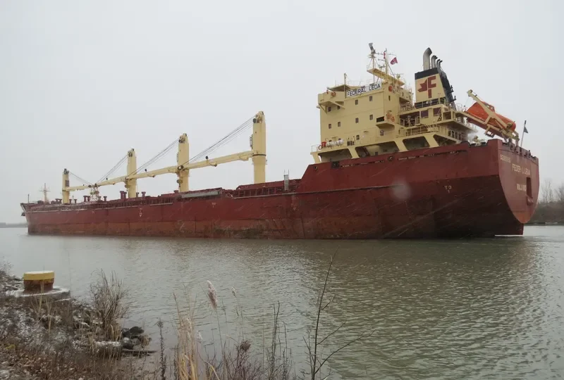 FEDERAL LEDA Bulk Carrier IMO 9229996 photo 6