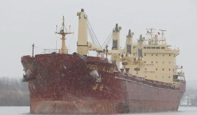 FEDERAL LEDA Bulk Carrier IMO 9229996 photo 8