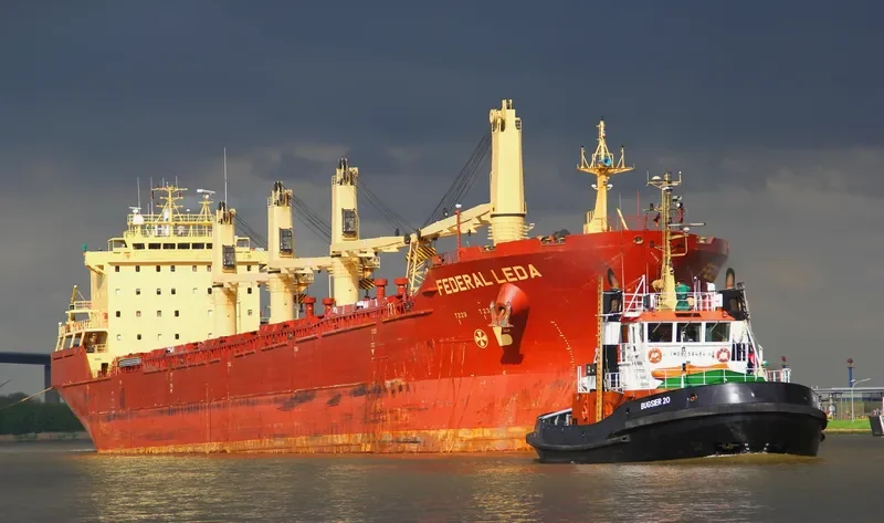 FEDERAL LEDA Bulk Carrier IMO 9229996 photo 10