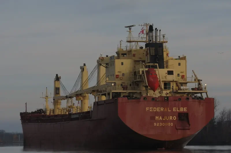 FEDERAL ELBE Bulk Carrier IMO 9230000 photo 3