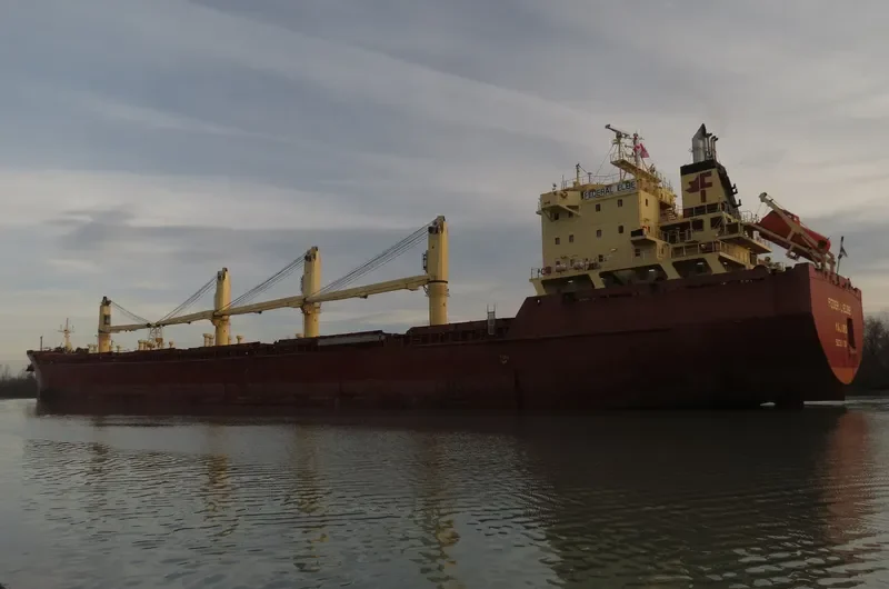 FEDERAL ELBE Bulk Carrier IMO 9230000 photo 4