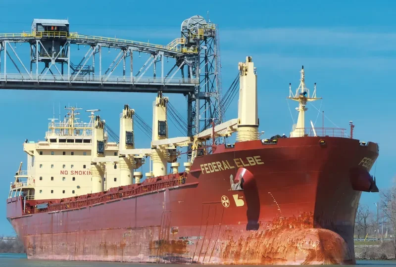 FEDERAL ELBE Bulk Carrier IMO 9230000 photo 8