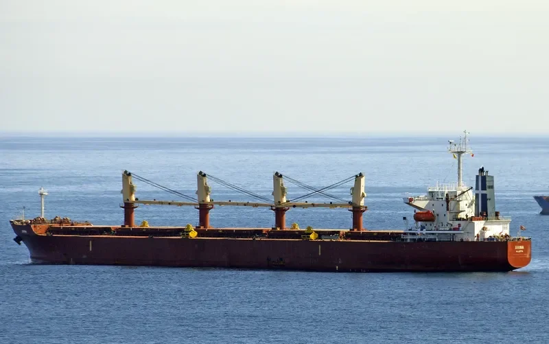 SIRINA Bulk Carrier IMO 9230127 photo 3