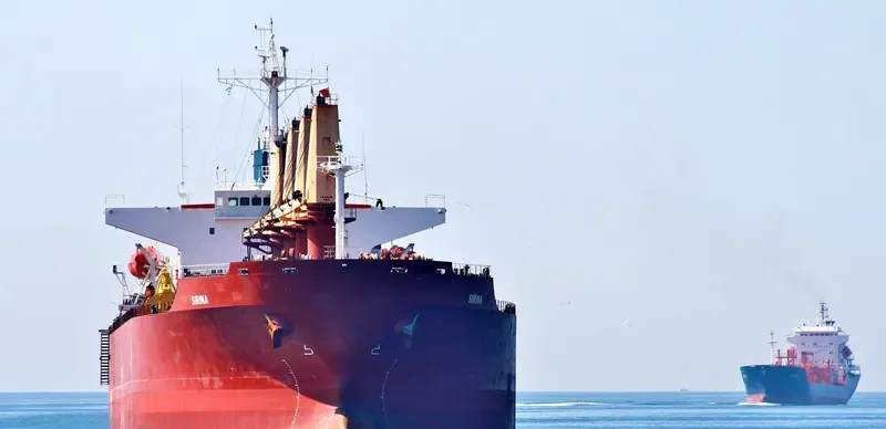 SIRINA Bulk Carrier IMO 9230127 photo 5