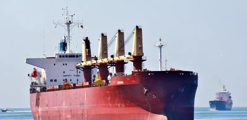 SIRINA Bulk Carrier IMO 9230127 photo 6