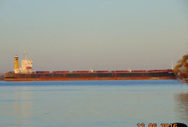 GLORY ONE Bulk Carrier IMO 9230141 photo 9