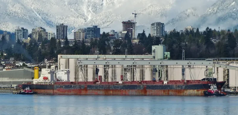 GLORY ONE Bulk Carrier IMO 9230141 photo 10