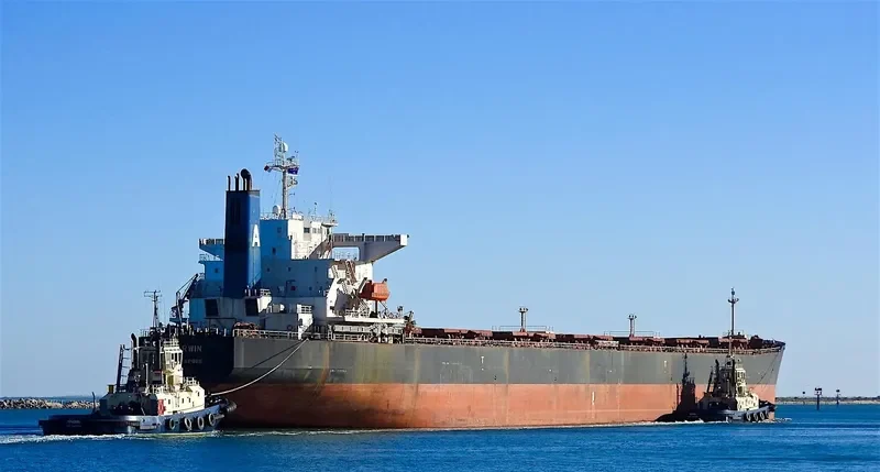 RUI FU TAI Bulk Carrier IMO 9230153