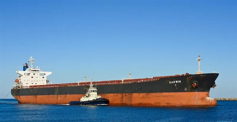 RUI FU TAI Bulk Carrier IMO 9230153 photo 2
