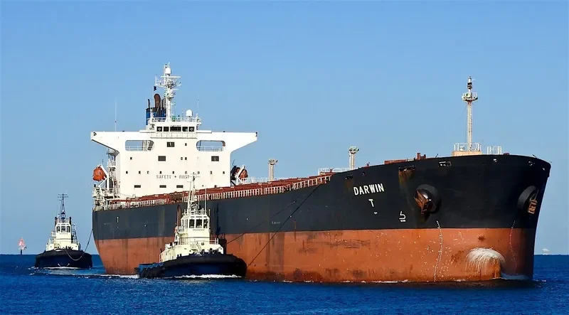 RUI FU TAI Bulk Carrier IMO 9230153 photo 3