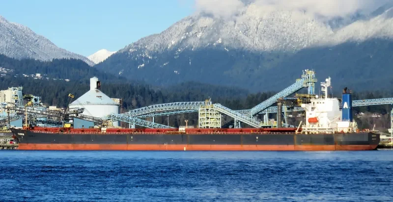RUI FU TAI Bulk Carrier IMO 9230153 photo 4
