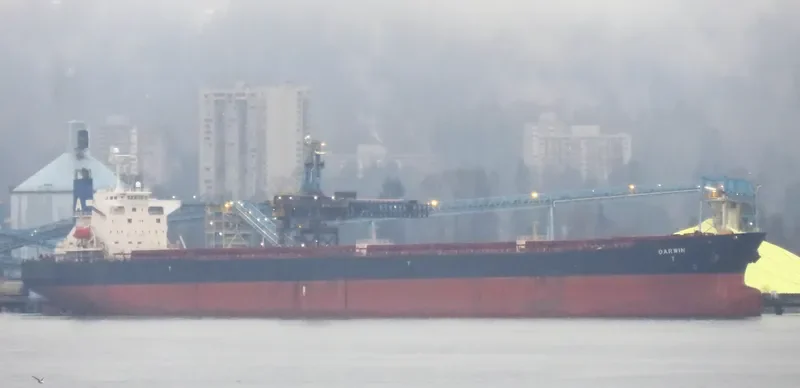 RUI FU TAI Bulk Carrier IMO 9230153 photo 5