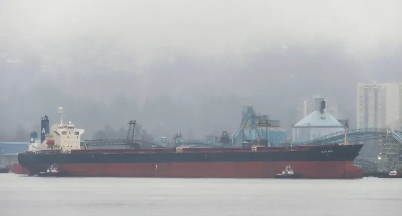 RUI FU TAI Bulk Carrier IMO 9230153 photo 6