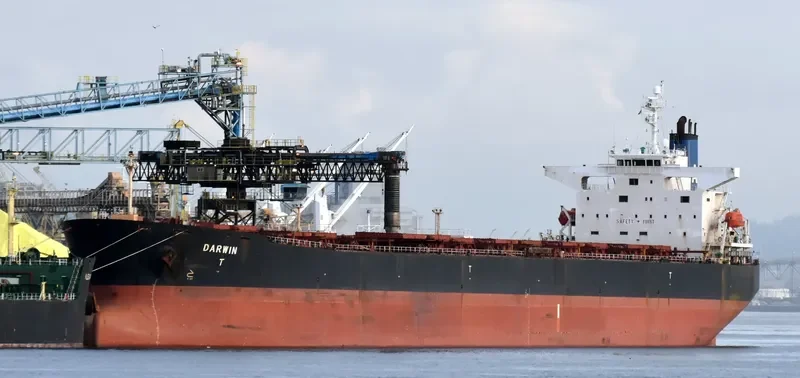 RUI FU TAI Bulk Carrier IMO 9230153 photo 8
