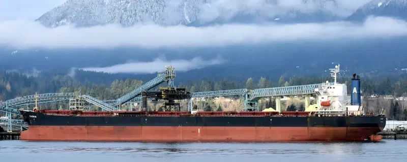 RUI FU TAI Bulk Carrier IMO 9230153 photo 9