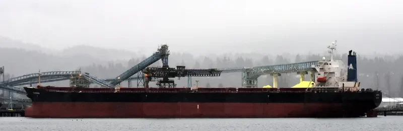 RUI FU TAI Bulk Carrier IMO 9230153 photo 10