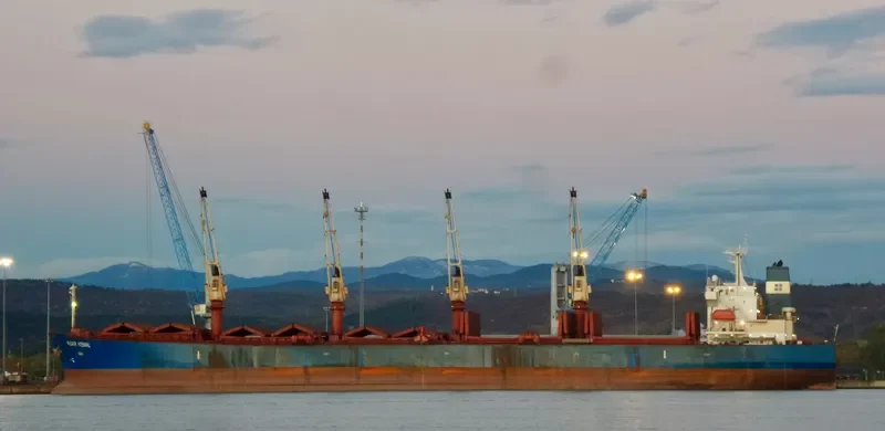 YASAR KEMAL Bulk Carrier IMO 9230191 photo 9