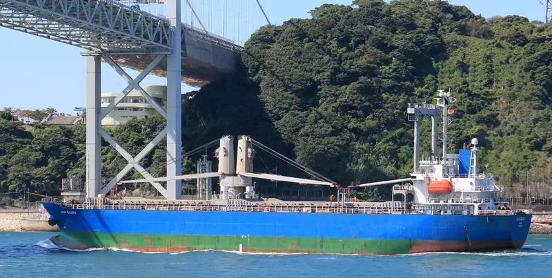 LIZSTAR General Cargo IMO 9230294 photo 9