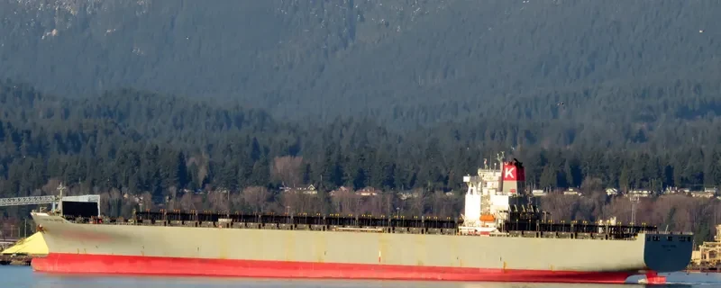 BRIDGE Container Ship IMO 9230309 photo 2