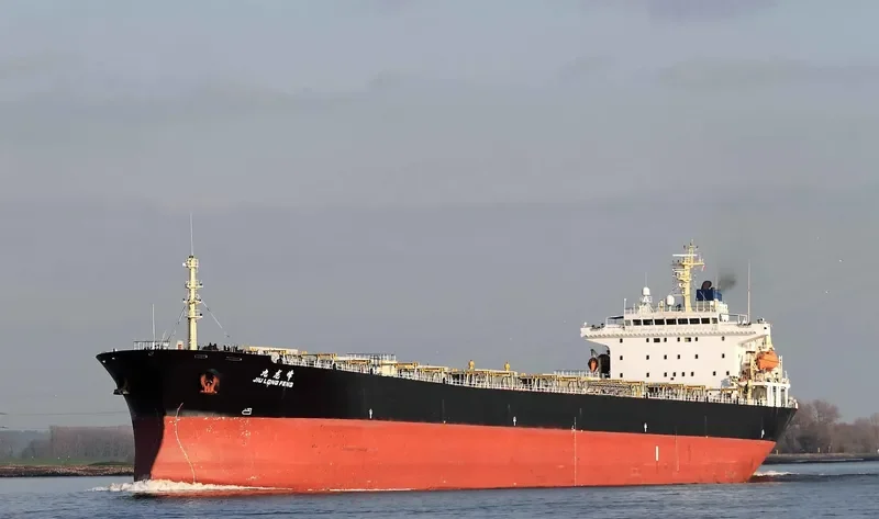 JIU LONG FENG Bulk Carrier IMO 9230359 photo 2
