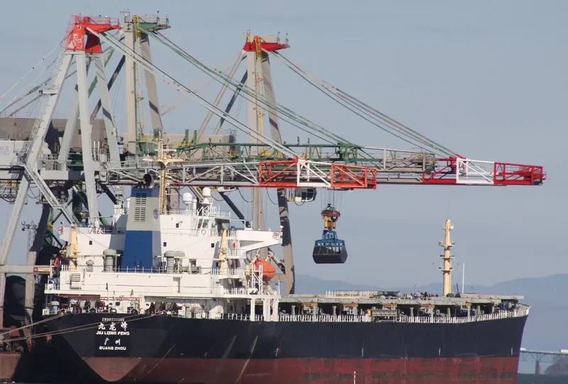 JIU LONG FENG Bulk Carrier IMO 9230359 photo 6