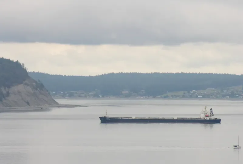 GUANG MING FENG Bulk Carrier IMO 9230373 photo 8