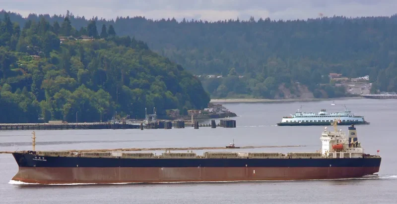 SHEN NONG FENG Bulk Carrier IMO 9230385 photo 2