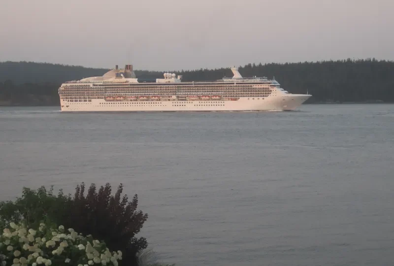 ISLAND PRINCESS Passenger Ship IMO 9230402 photo 6
